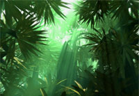 It's a Jungle Out There